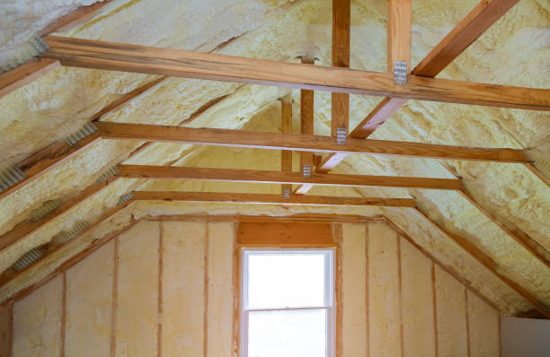 Best Cellulose Insulation in Oak Grove, TN