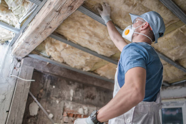 Types of Insulation We Offer in Oak Grove, TN