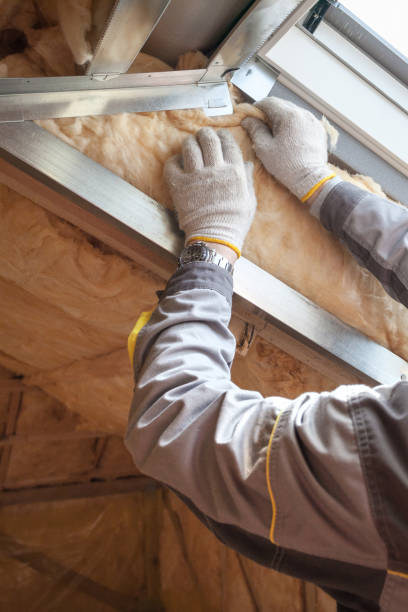 Best Eco-Friendly Insulation in Oak Grove, TN